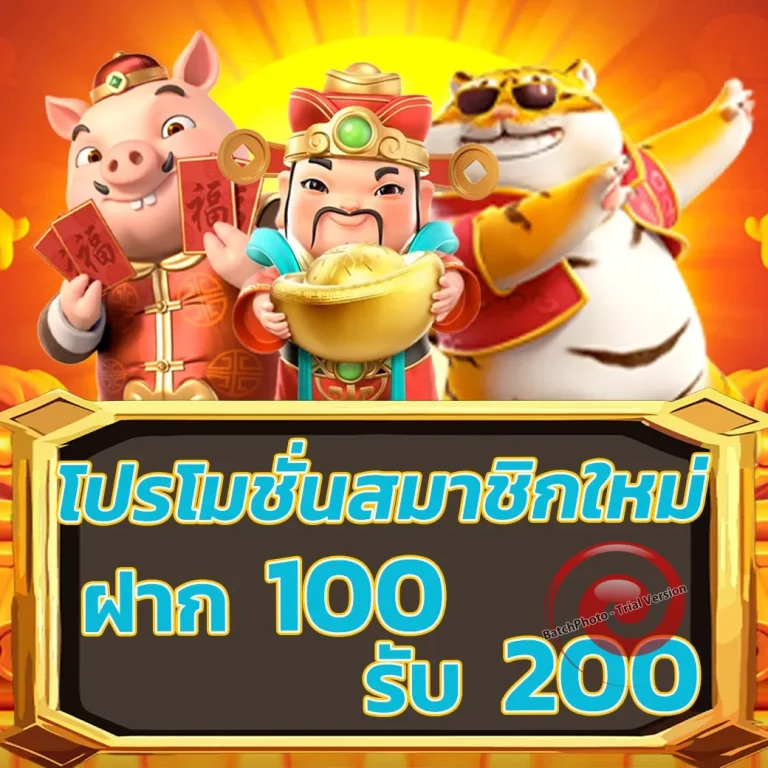 mt248 ทางเข้า